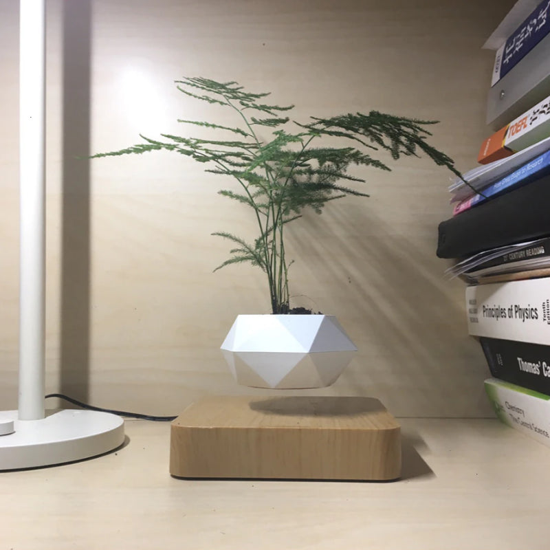 Potzi: Magnetic Levitating Bonsai Planter with Rotating Floating Pot & Wooden Base, Geometric Indoor Decor for Air Plants & Minimalist Homes