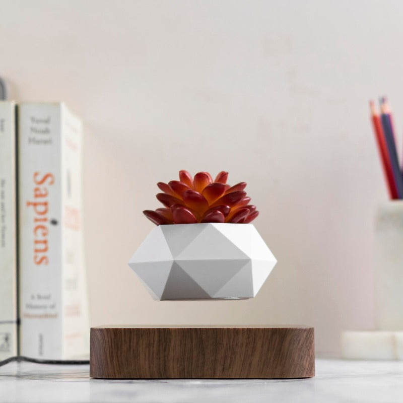 levitating plant pot in india Potzi: Magnetic Levitating Bonsai Planter with Rotating Floating Pot &