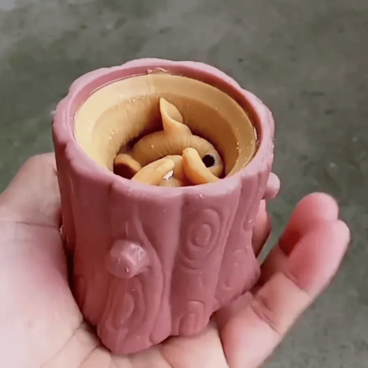 CheekyChum: Cute Squishy Squirrel Pop-Up Toy – Adorable Fidget & Stress Relief Sensory Toy for Kids & Adults