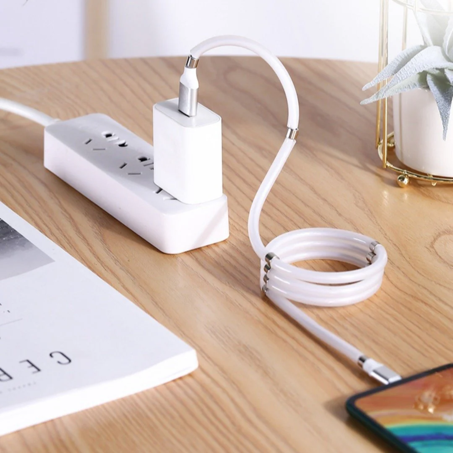 LoopX: Self-Winding Magnetic Type-C Charging & Data Cable with Fast Charging, Tangle-Free Design & Durable Build