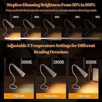 Silly: Flexible Multi-Use LED Lamp with Rechargeable Design, 3 Color Modes & Clip-On Feature for Reading & Desk Use