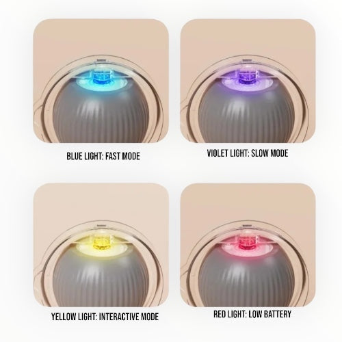 Rollie: Motion Ball for Cats & Dogs, Self-Rotating Rechargeable Pet Toy with Auto Rolling Action & Light-Up Surface for Indoor Play & Chase