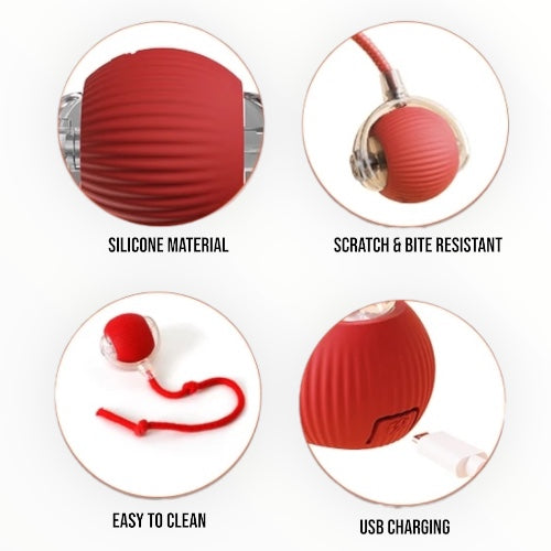 Rollie: Motion Ball for Cats & Dogs, Self-Rotating Rechargeable Pet Toy with Auto Rolling Action & Light-Up Surface for Indoor Play & Chase