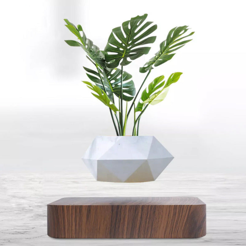 Potzi: Magnetic Levitating Bonsai Planter with Rotating Floating Pot & Wooden Base, Geometric Indoor Decor for Air Plants & Minimalist Homes